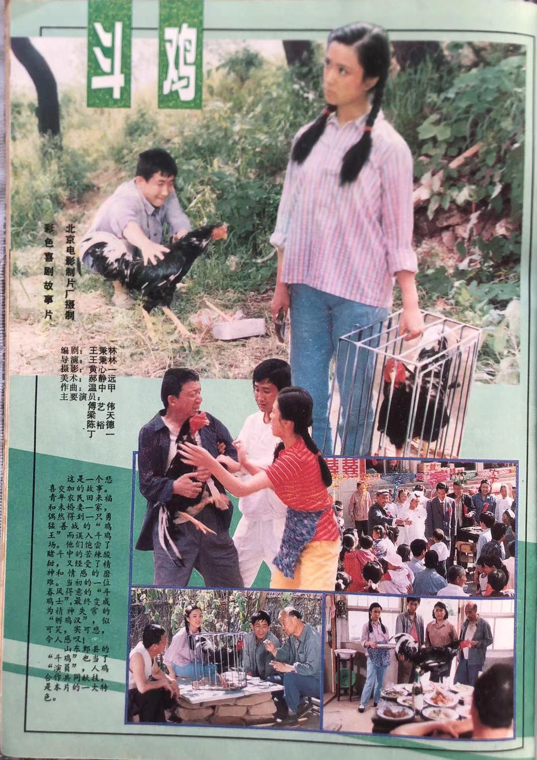 最新电影下载指南，步骤详解，轻松获取第6部影片下载资源