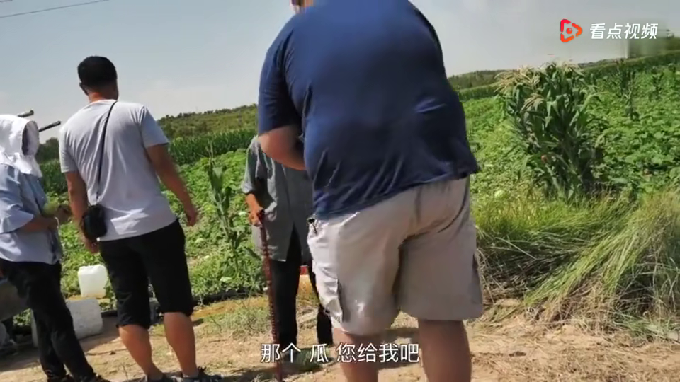 胖哥游记，友情之旅的温馨瞬间记录