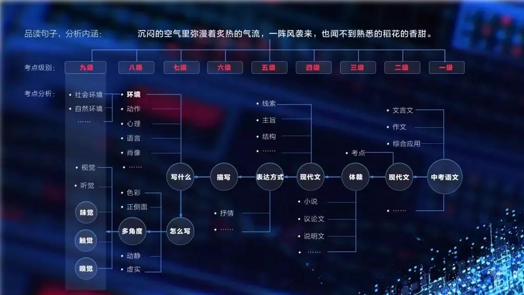栗浩洋，科技新星，未来闪耀之光✨