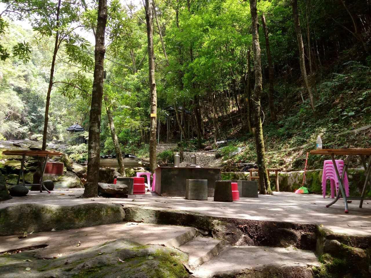 最新七情，背景、重要事件与地位的全面探讨