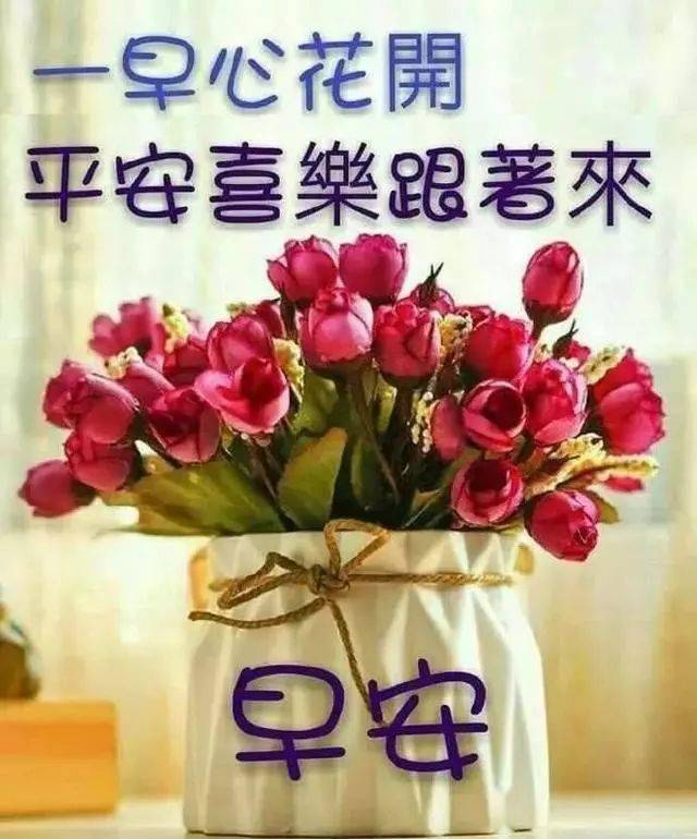 微信问候，爱的传递与温馨日常的最新问候语