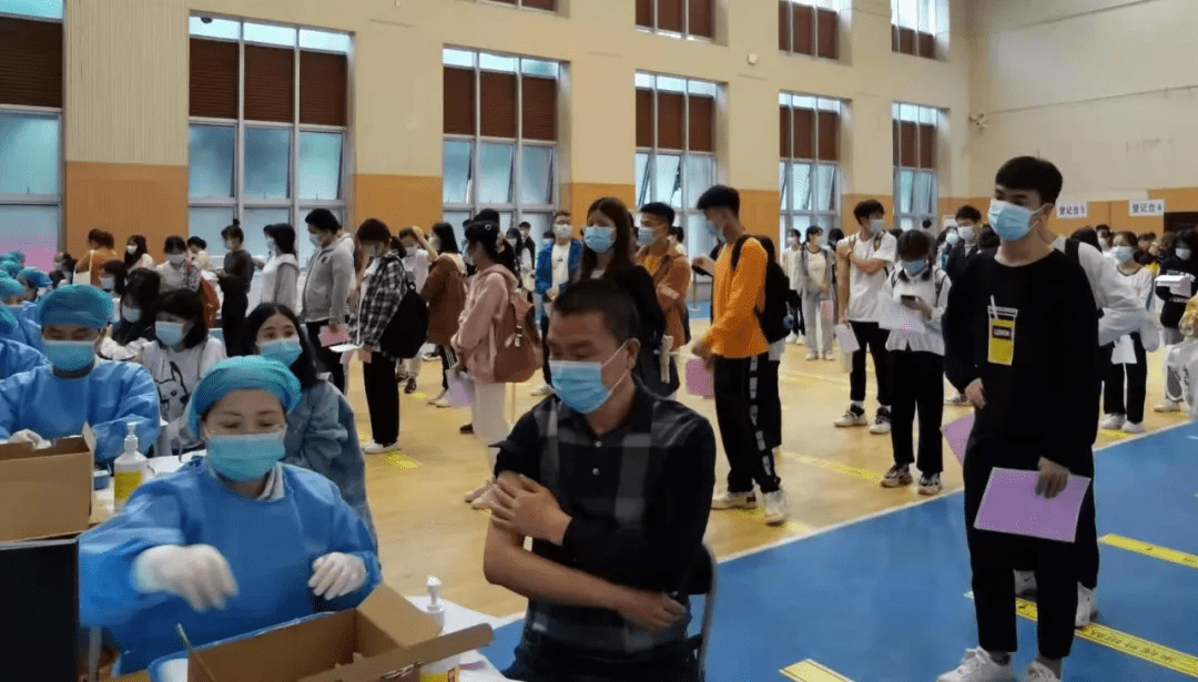 藁城志扬左岸最新动态，小巷中的特色小店魅力揭秘