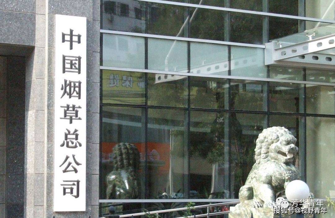烟草王志富的最新动态，自信与成就感的励志之旅更新中